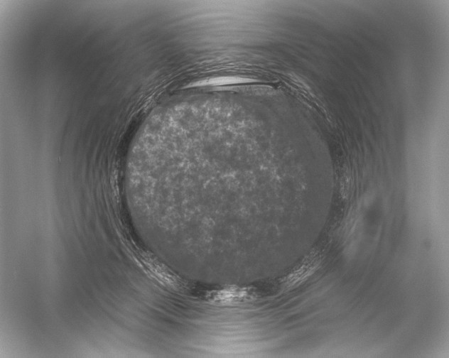 X0000051900366200507222048