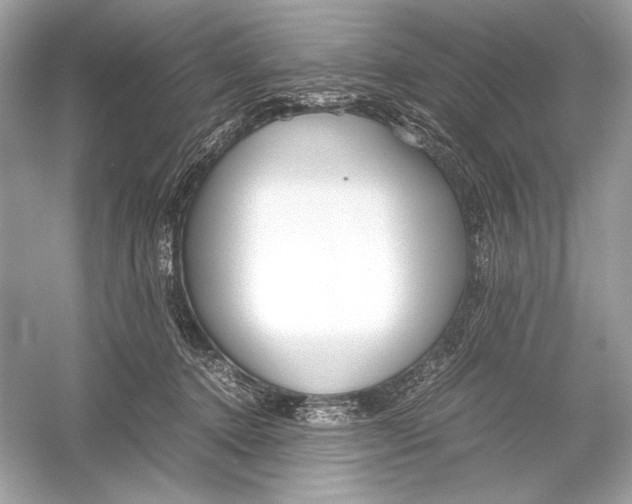 X0000051900368200507222048