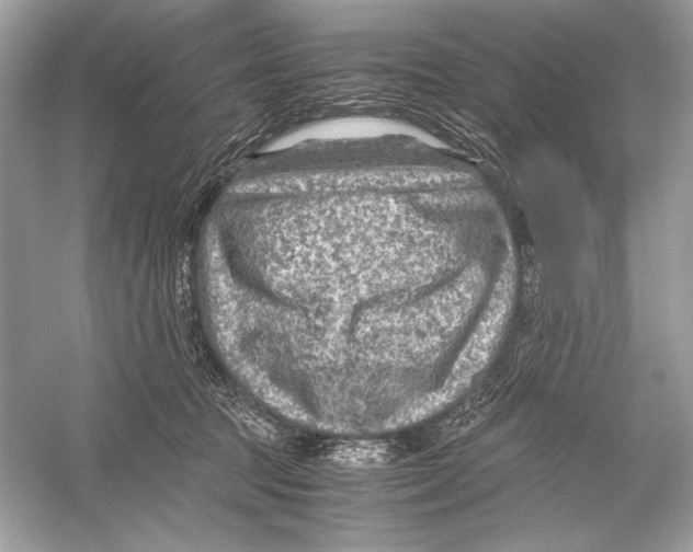 X0000051900369200507222048