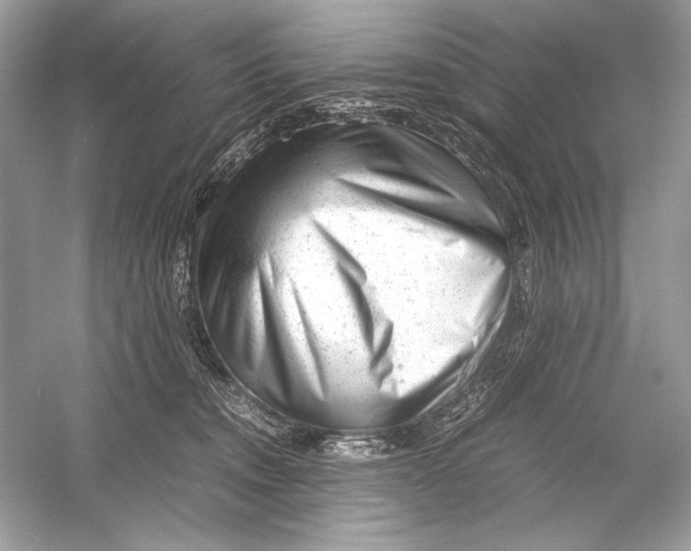 X0000051900372200507222048