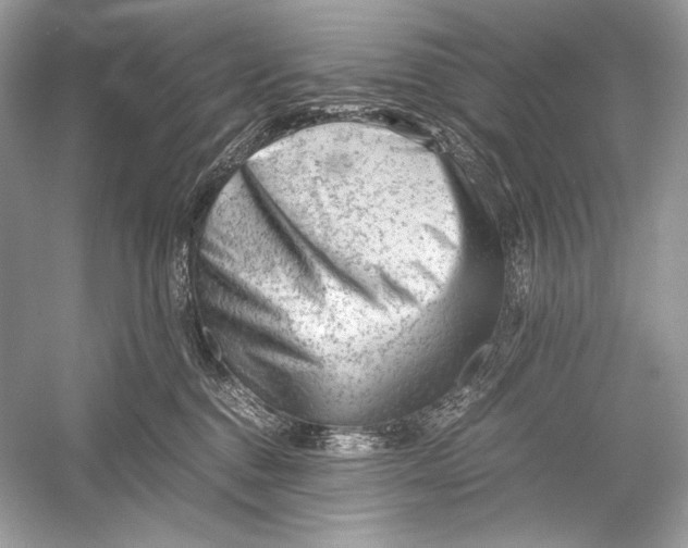 X0000051900376200507222048