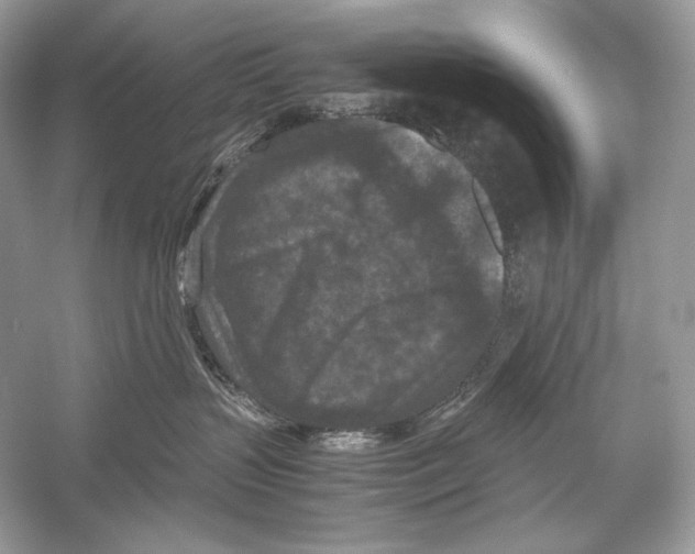 X0000051900383200507222048