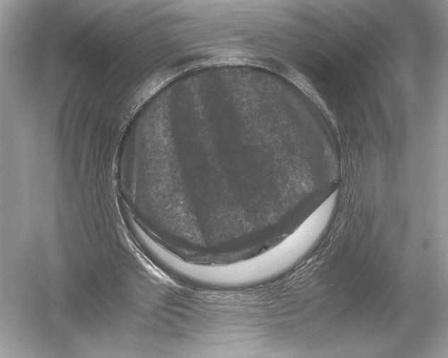X0000051900389200507222047