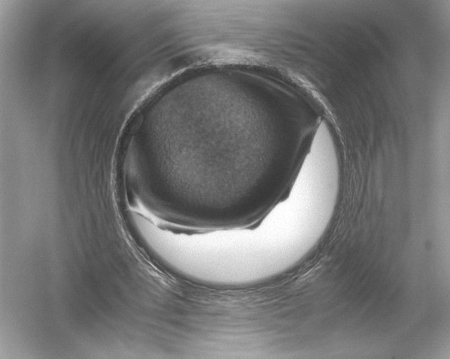 X0000051900391200507222047