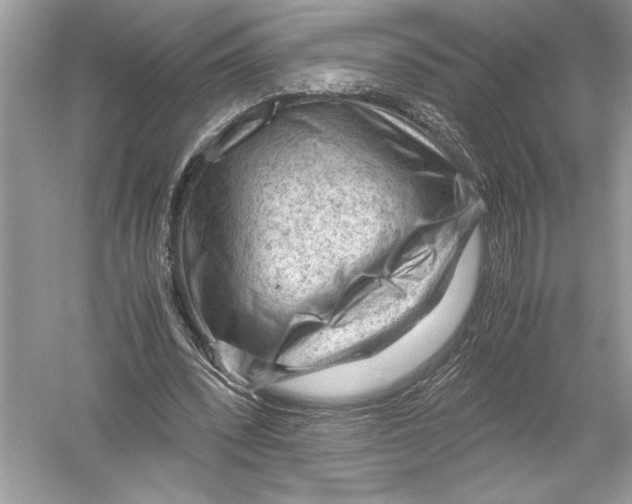 X0000051900392200507222047