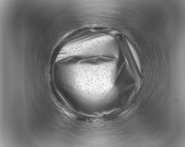 X0000051900395200507222047