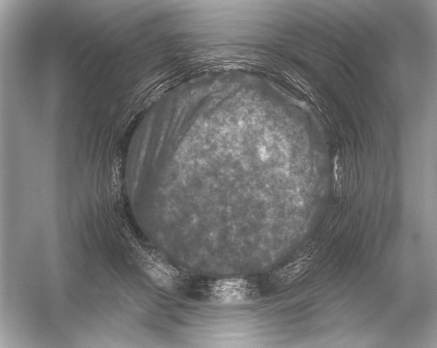 X0000051900410200507222047