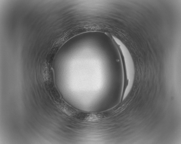X0000051900416200507222047
