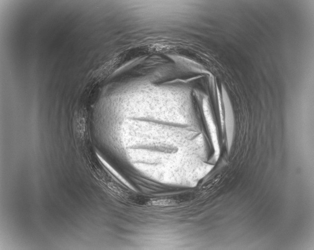 X0000051900417200507222047