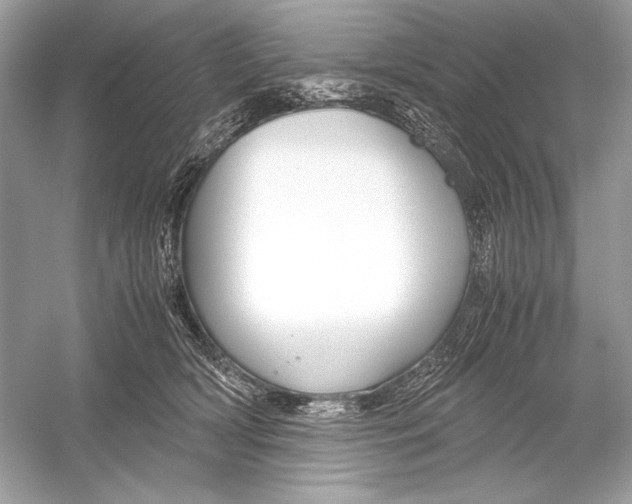X0000051900418200507222047