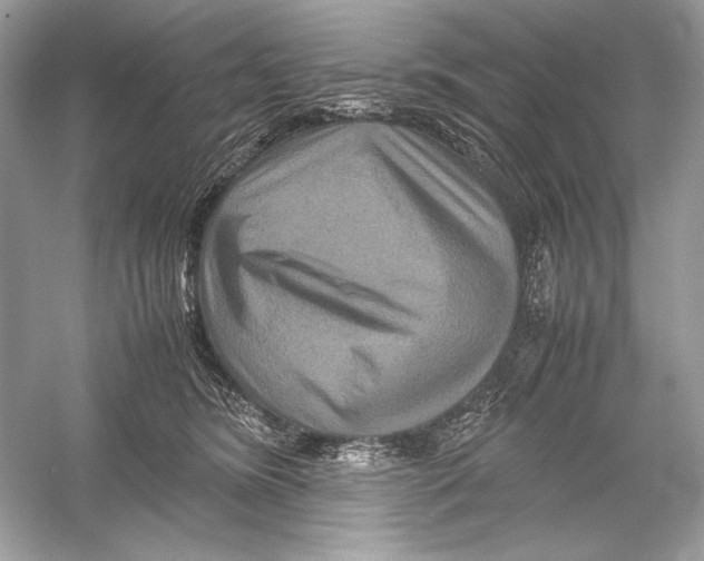 X0000051900420200507222047