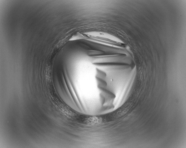 X0000051900421200507222047