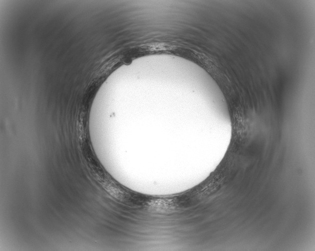 X0000051900422200507222047