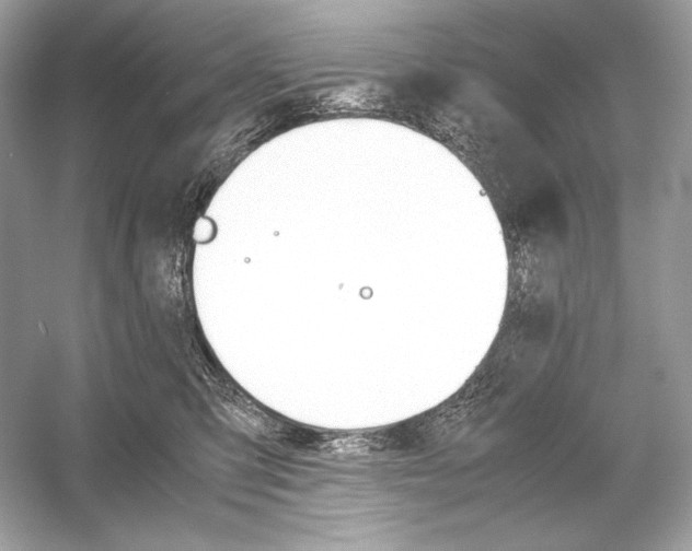 X0000051900423200507222047