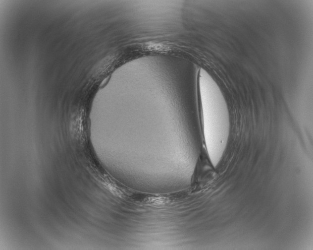 X0000051900424200507222047