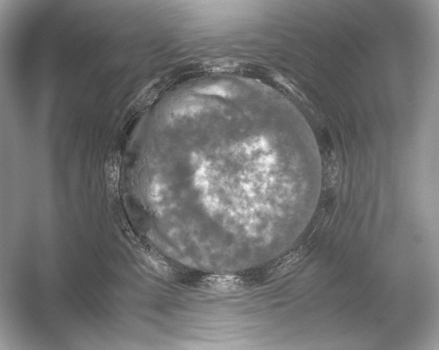 X0000051900427200507222047