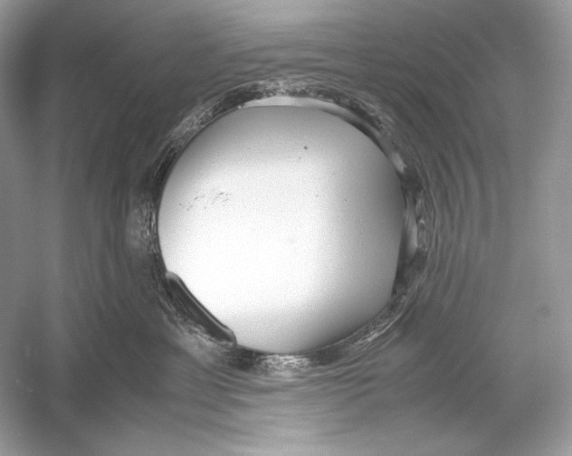 X0000051900429200507222047