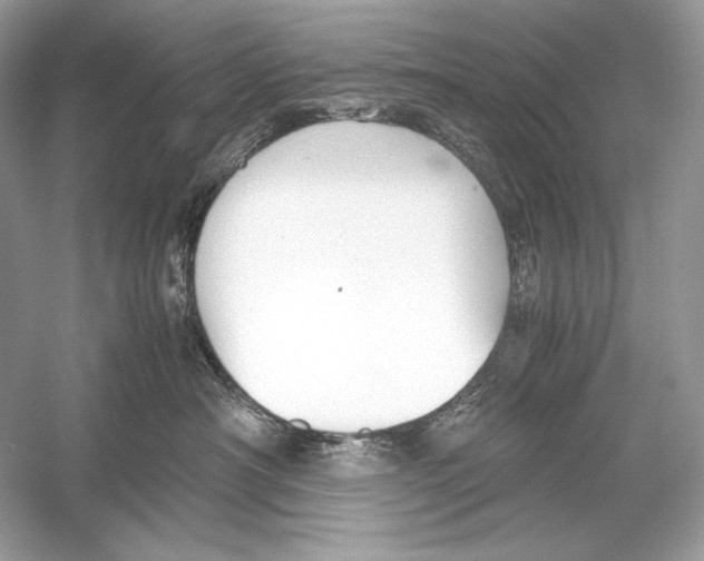 X0000051900430200507222047