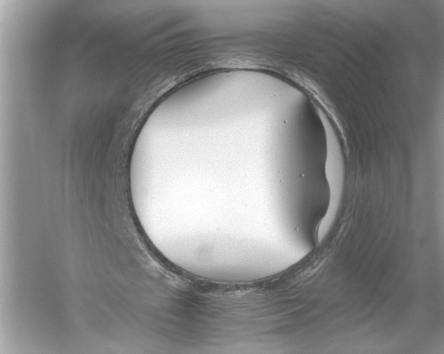 X0000051900433200507222046