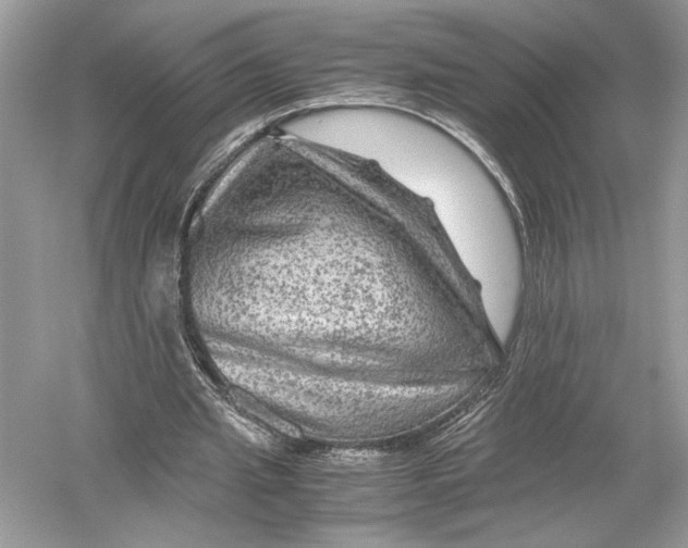 X0000051900437200507222046