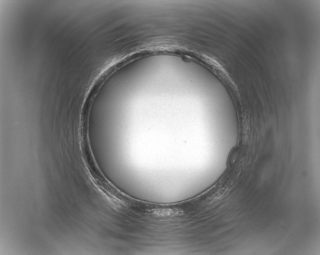 X0000051900439200507222046
