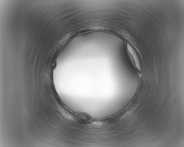 X0000051900441200507222046