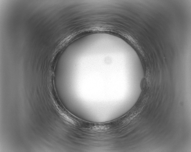 X0000051900445200507222046
