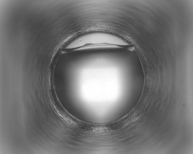 X0000051900446200507222046