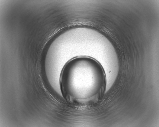 X0000051900448200507222046