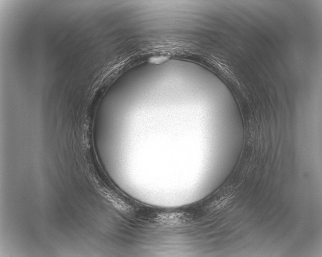 X0000051900450200507222046