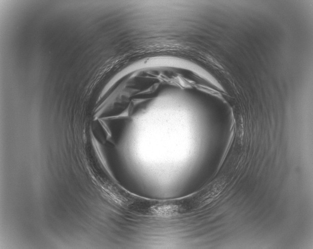 X0000051900452200507222046