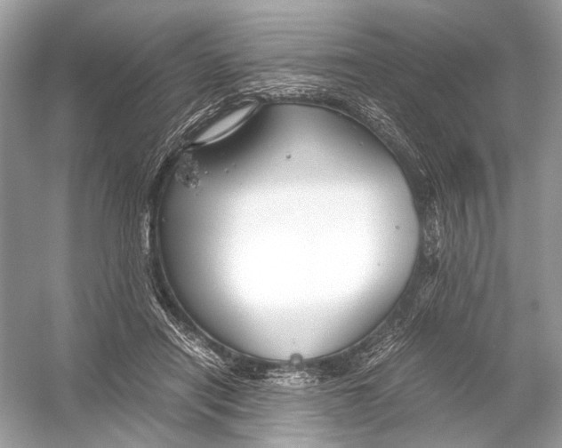 X0000051900454200507222046