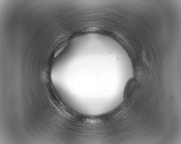 X0000051900455200507222046