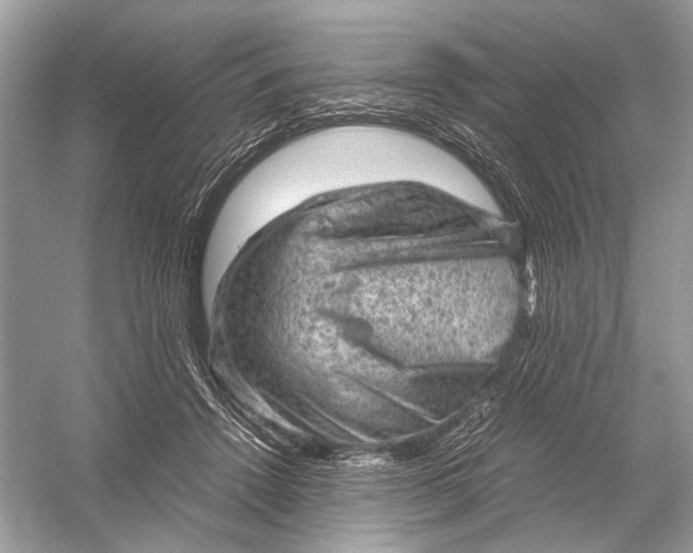 X0000051900456200507222046