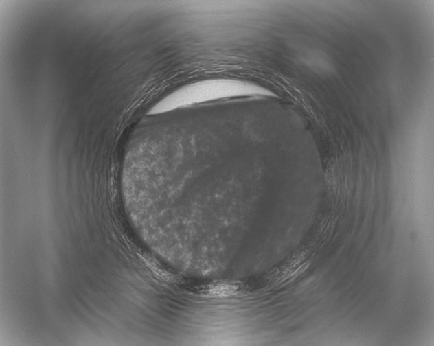 X0000051900462200507222046