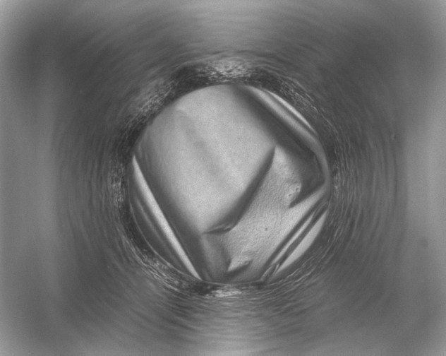 X0000051900464200507222046