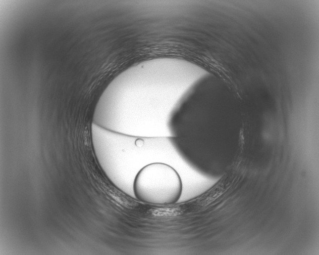 X0000051900465200507222046