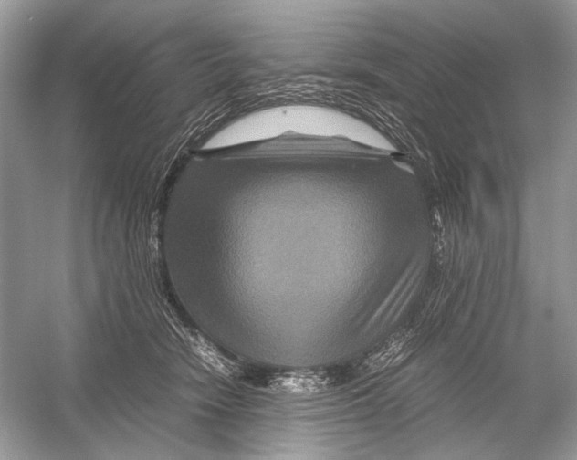 X0000051900466200507222046