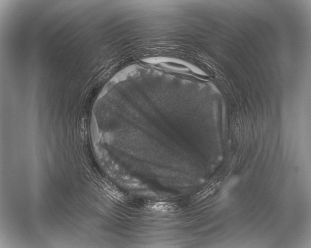 X0000051900467200507222046