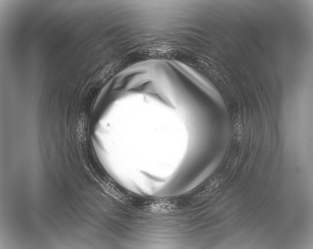 X0000051900468200507222046