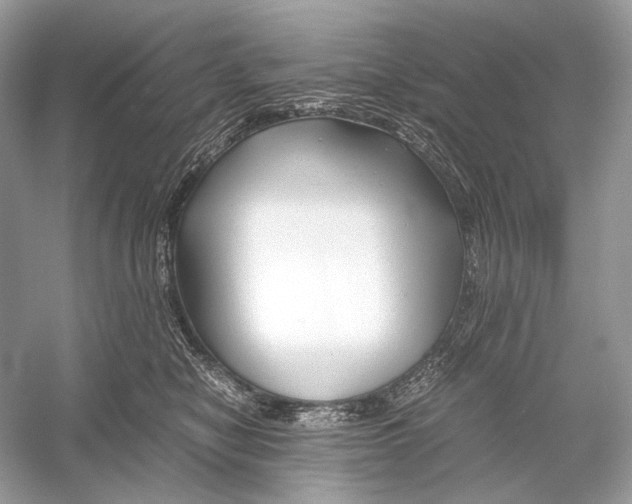 X0000051900470200507222047