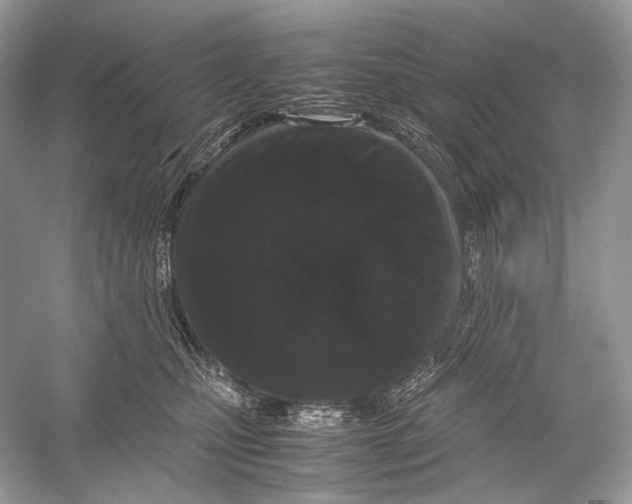 X0000051900471200507222047