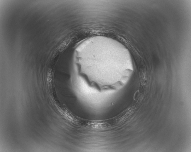X0000051900472200507222047