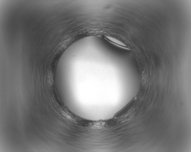 X0000051900474200507222047
