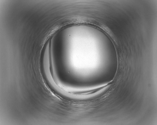 X0000051900485200507222046