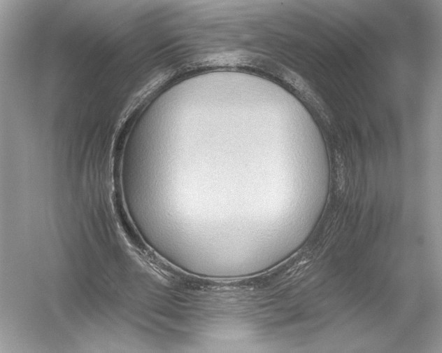 X0000051900486200507222046