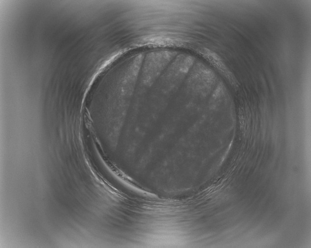 X0000051900488200507222046
