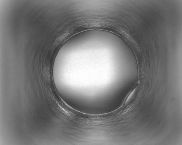 X0000051900489200507222046