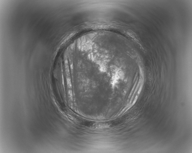 X0000051900491200507222046