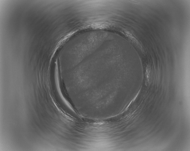 X0000051900492200507222046